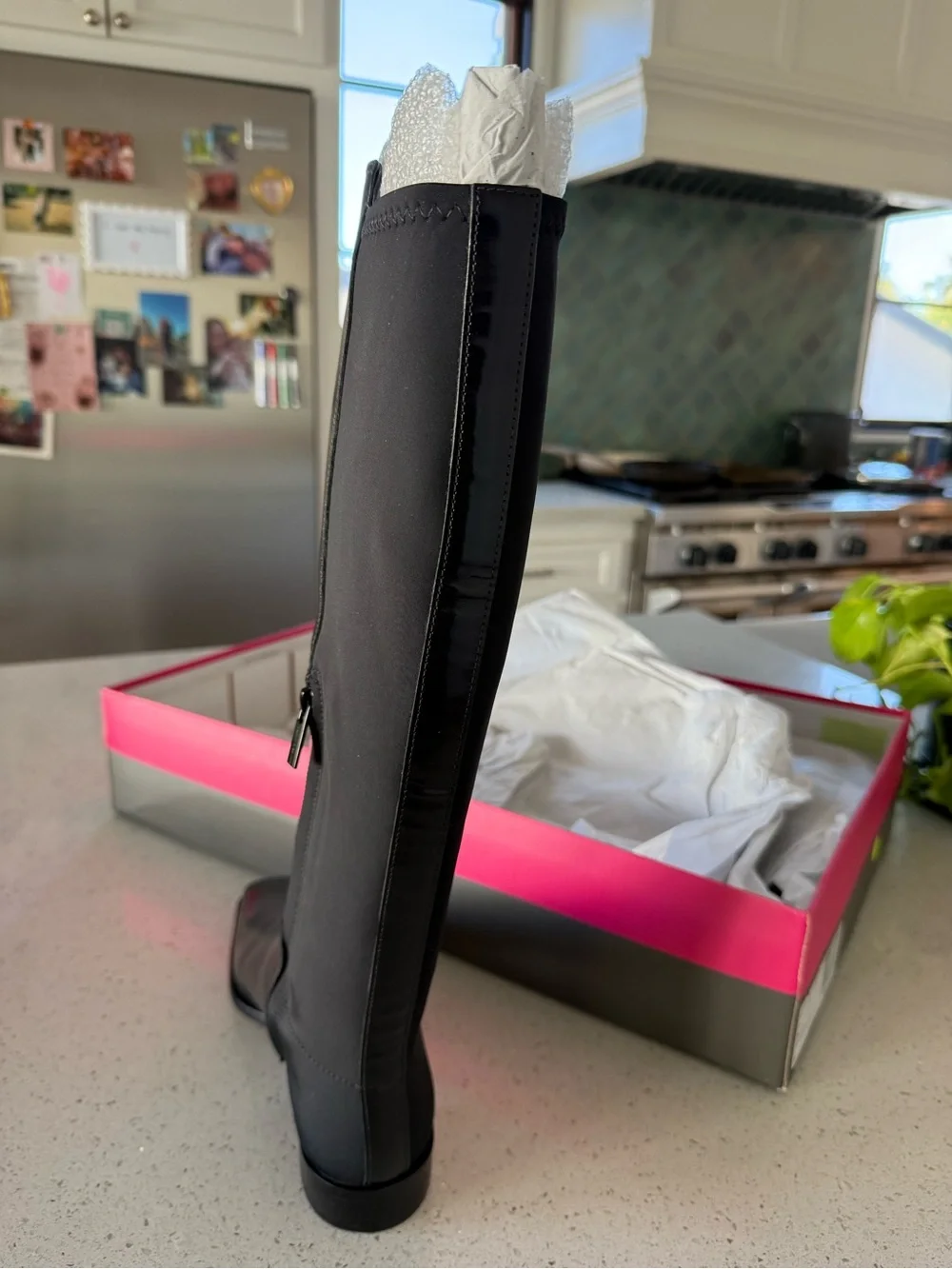 NIB Vince Camuto Tall Leather Boots